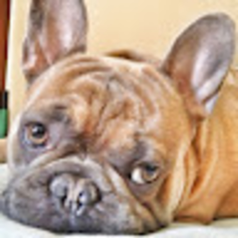 Meet your Posher, Valerie